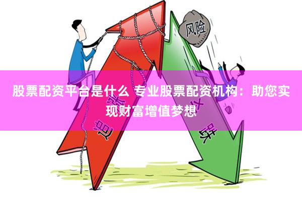 股票配资平台是什么 专业股票配资机构：助您实现财富增值梦想